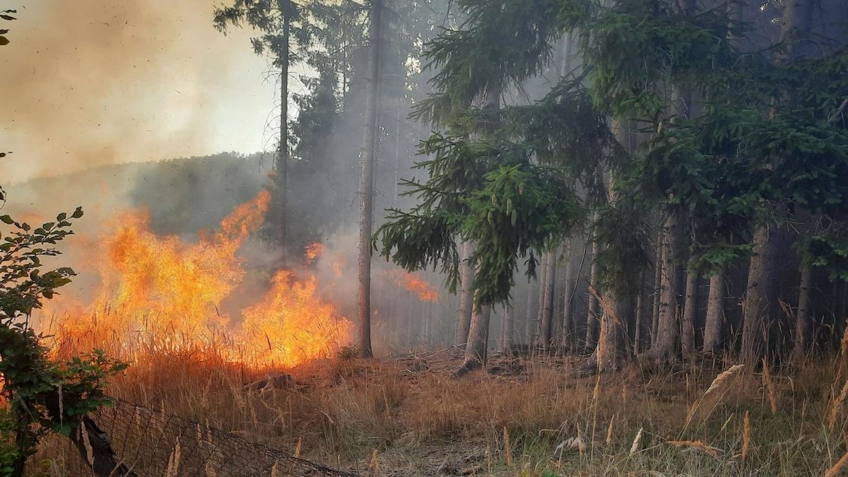 Požár lesa na Zlínsku zasáhl plochu devíti hektarů, hasiči oheň dál likvidují